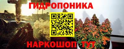 прущие грибы Кулебаки