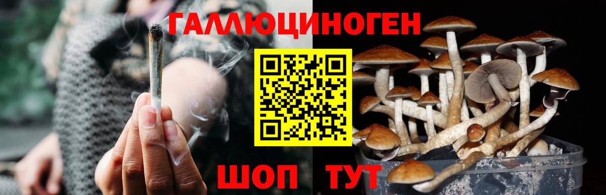Галлюциногенные грибы GOLDEN TEACHER  Вход с VPN  Ухта  Псилоцибиновые грибы MAGIC MUSHROOMS 